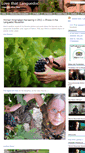 Mobile Screenshot of love-that-languedoc.com